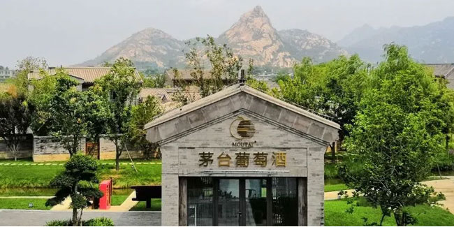 茅臺卡佩王特選干紅葡萄酒