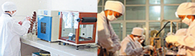 勃元養(yǎng)生酒32度500mlX2