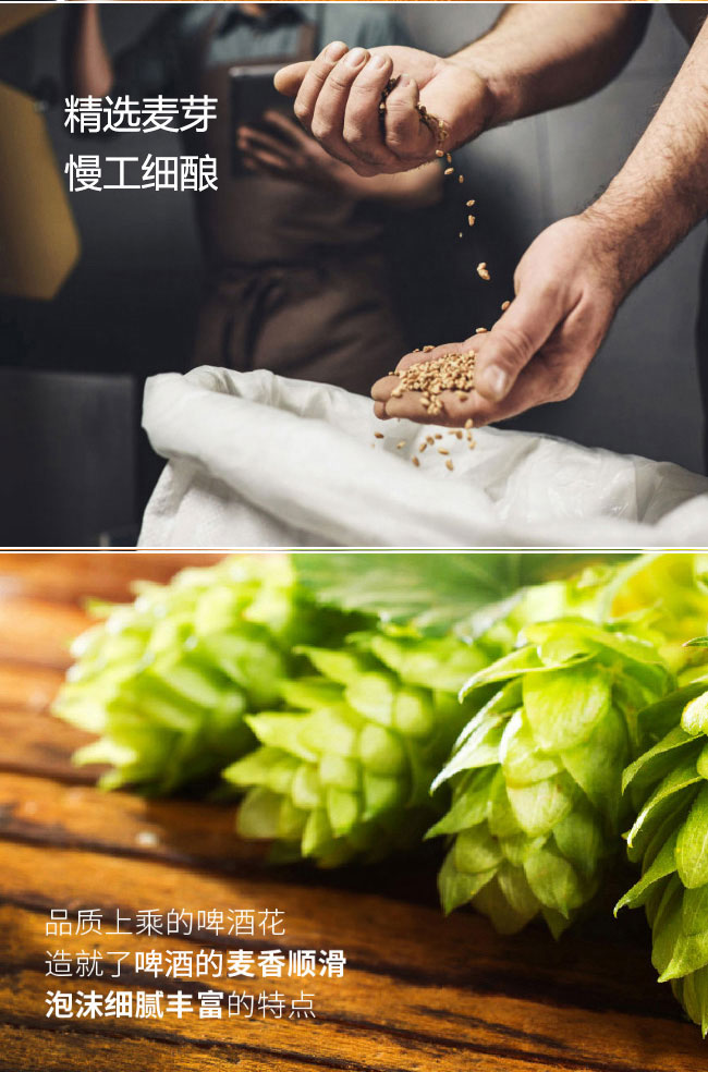 青島名麥精釀原漿白啤酒2L