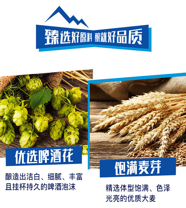 哈爾濱冰熊王啤酒冰爽半托500ml