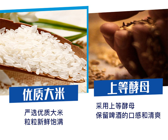 哈爾濱冰熊王啤酒冰爽半托500ml