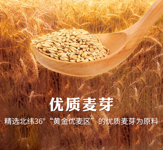 凱盾一帶一路精釀啤酒1L