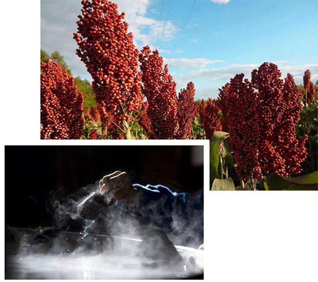 時(shí)尚抖酒100ml