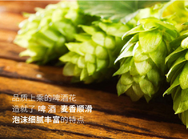 8090后啤酒·青春活力銀罐