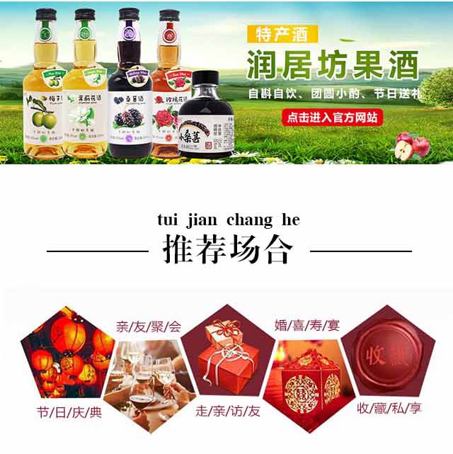 潤(rùn)居坊果酒梅子酒12°295ml