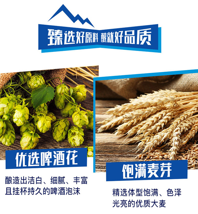 利斯曼原漿啤酒白啤