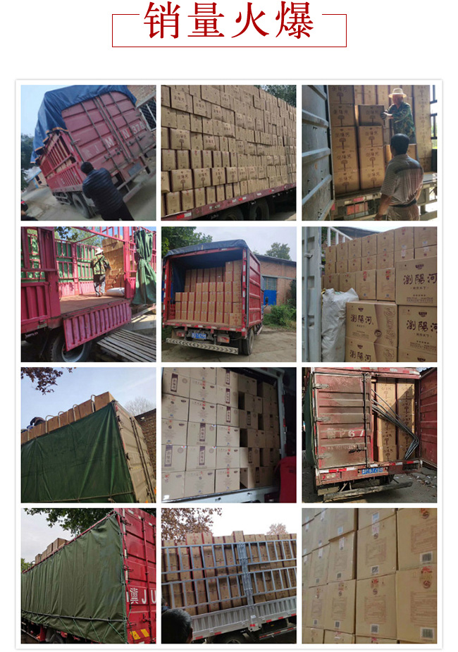 gꖺؕ¡ؕ99-42475mlͰ׾