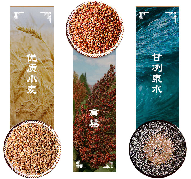 金口宴酒典藏V9瓶42°500ml濃香型白酒