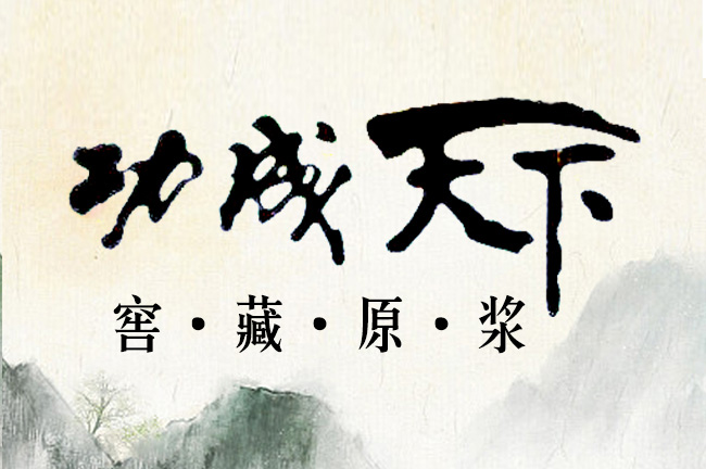 功成天下窖藏原漿酒20 52°500ml濃香型白酒