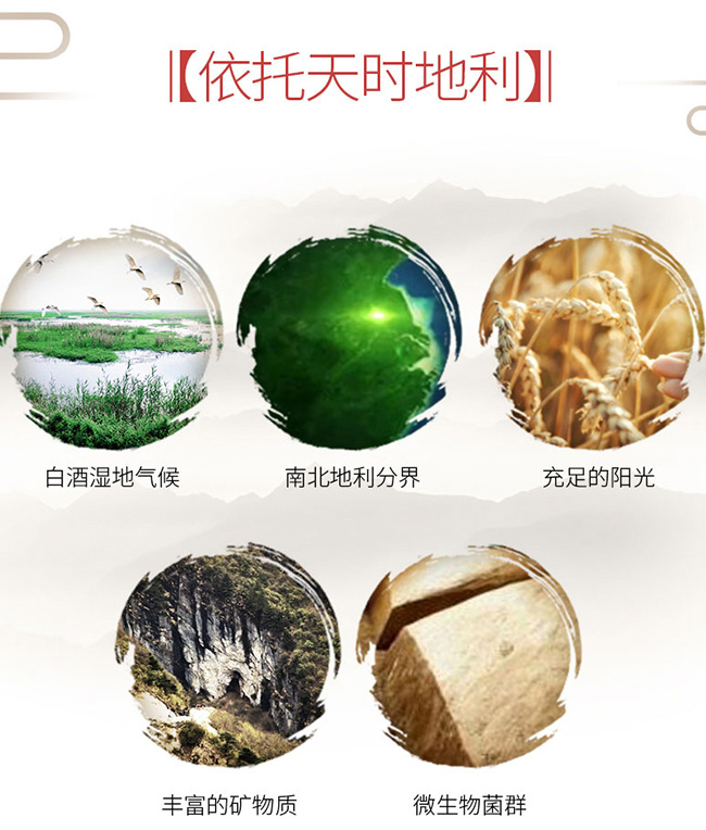 洋河年份酒龍尊15