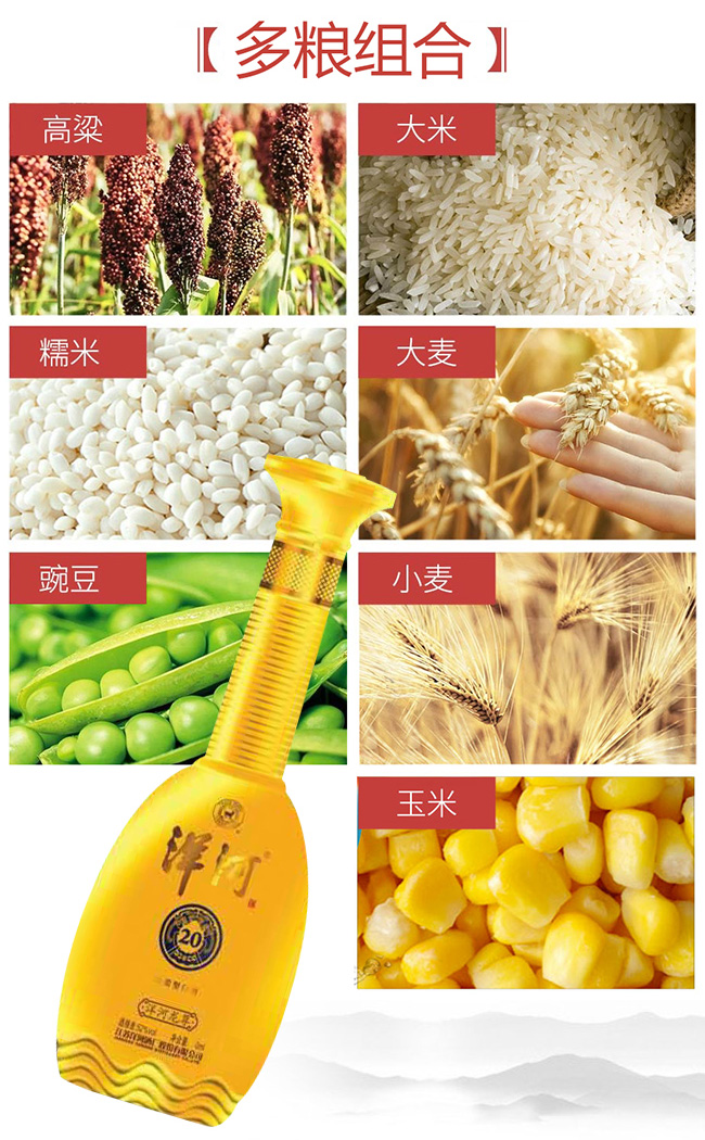 洋河年份酒龍尊20