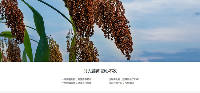 窖公酒窖藏15醬香型白酒【53°500ml】