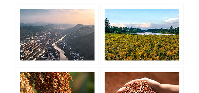 窖公酒窖藏8醬香型白酒【53°500ml】