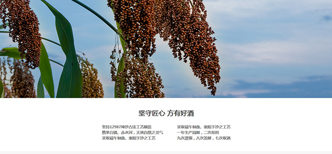 窖公酒窖藏8醬香型白酒【53°500ml】