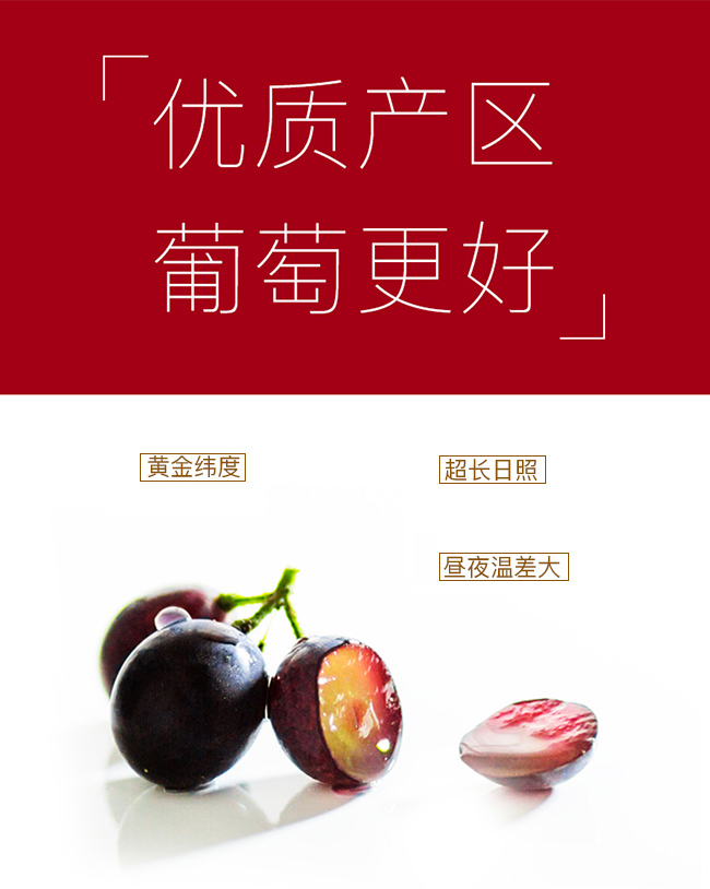 類人首經(jīng)典蛇龍珠干紅葡萄酒12°750ml