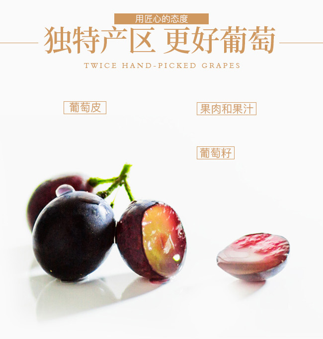 類人首2009經(jīng)典干紅葡萄酒12°750ml