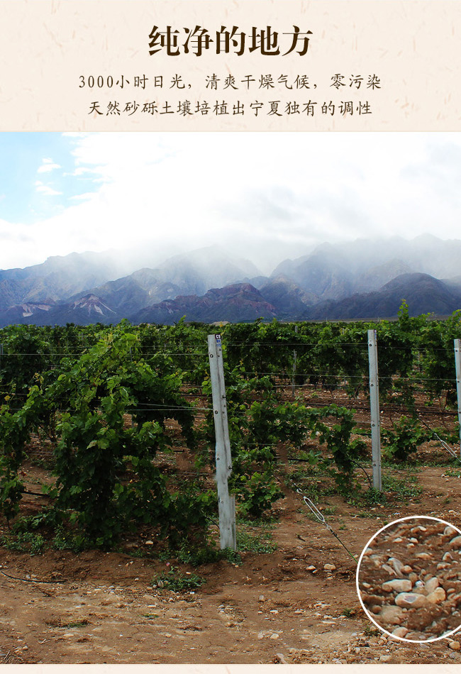 類人首2009經(jīng)典干紅葡萄酒12°750ml