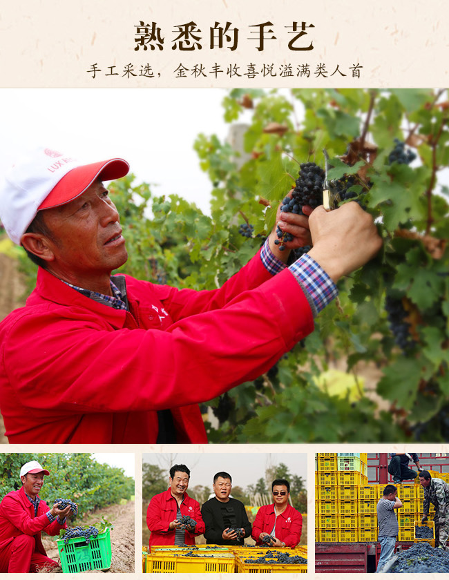 類人首2009經(jīng)典干紅葡萄酒12°750ml