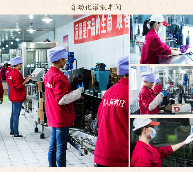 類人首2009經(jīng)典干紅葡萄酒12°750ml