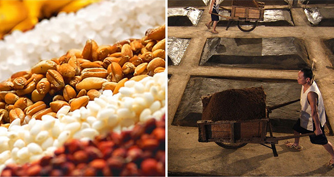 輝煌騰達(dá)酒·珍釀