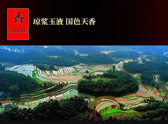 恭喜發(fā)財酒-柔和