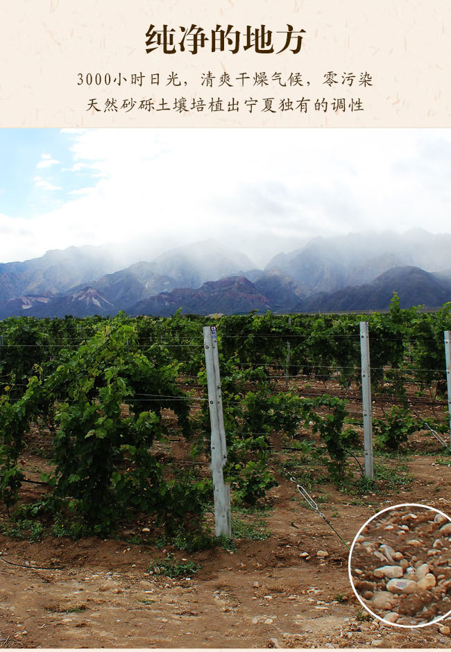 類人首意境莊主珍藏干紅葡萄酒13.5°750ml