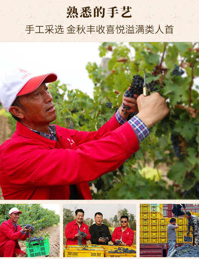 類人首意境莊主珍藏干紅葡萄酒13.5°750ml