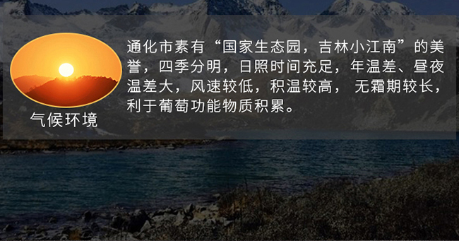 紫桐冰純冰紅葡萄酒