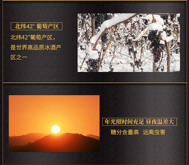 紫桐冰純冰紅葡萄酒