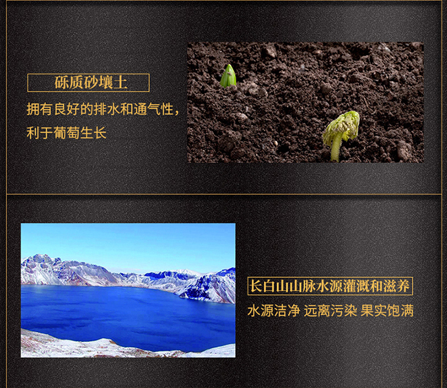 紫桐冰純冰紅葡萄酒