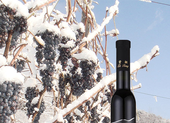 紫桐冰純冰紅葡萄酒