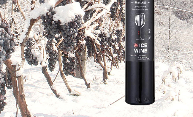 紫桐冰純冰紅葡萄酒