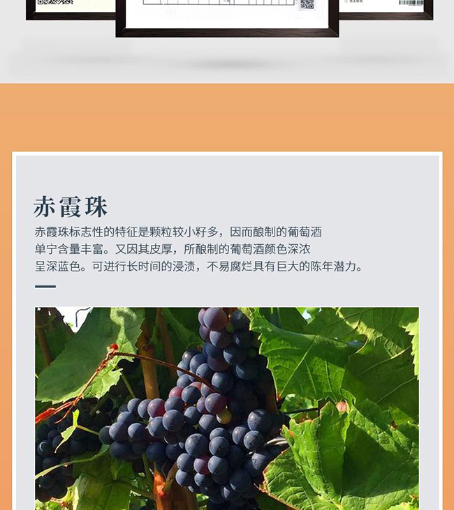 拉貢酒莊干紅葡萄酒【15° 750ml】