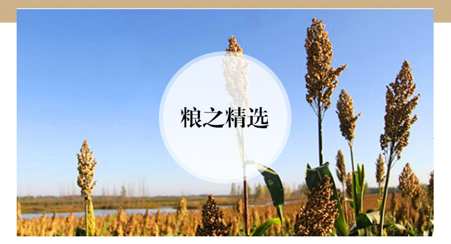 老泥窖酒·封壇十年