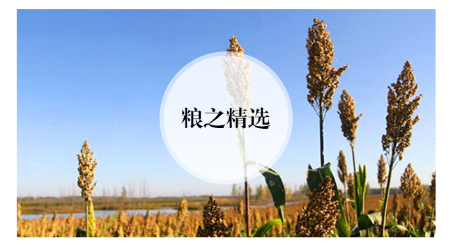 魏亳坊生態(tài)原漿酒鴻運濃香型白酒【42°52°500ml】