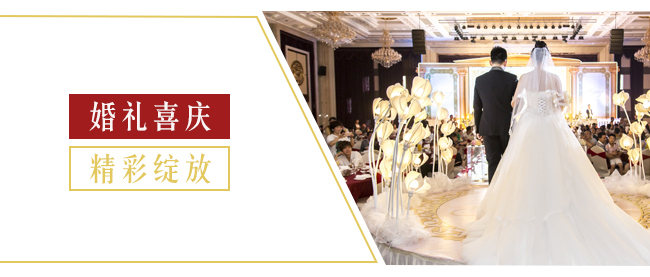 魏亳坊生態(tài)原漿酒鴻運濃香型白酒【42°52°500ml】