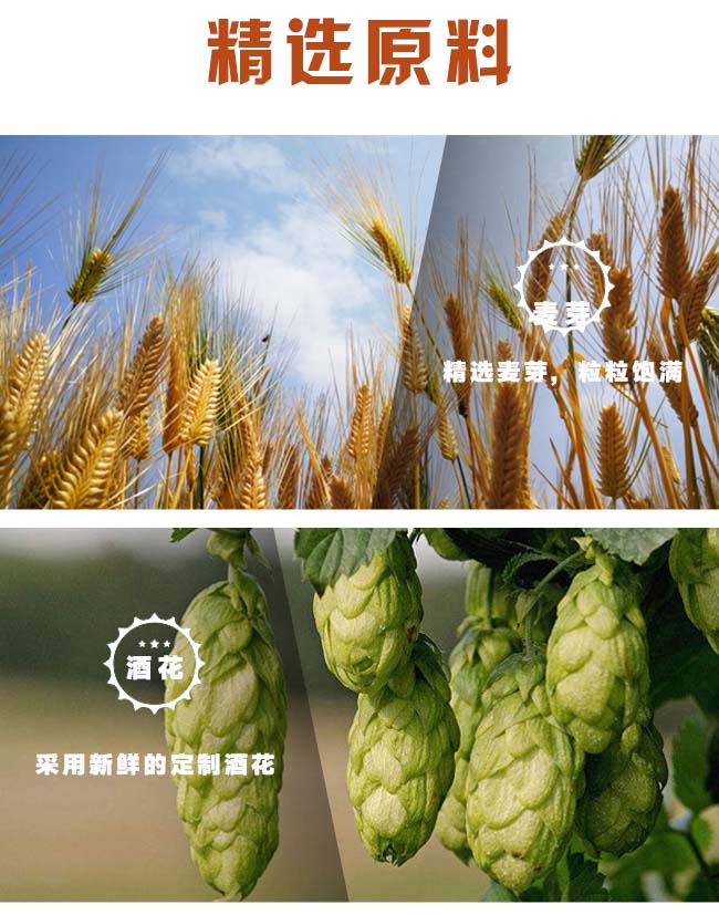 鮮麥精釀啤酒塑包【8°500ml×9】