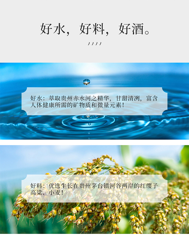 藍京醬香經典白酒柔和醬香型白酒