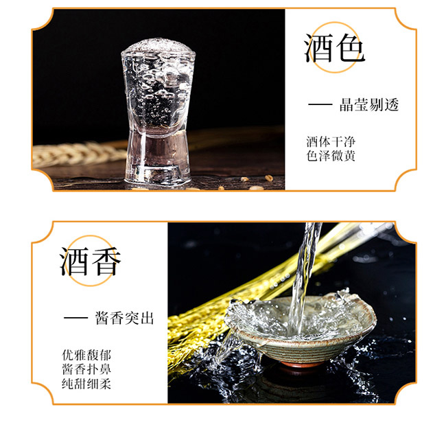 藍京醬香經典白酒柔和醬香型白酒