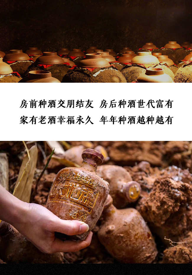 大地魂陶瓶泥巴酒