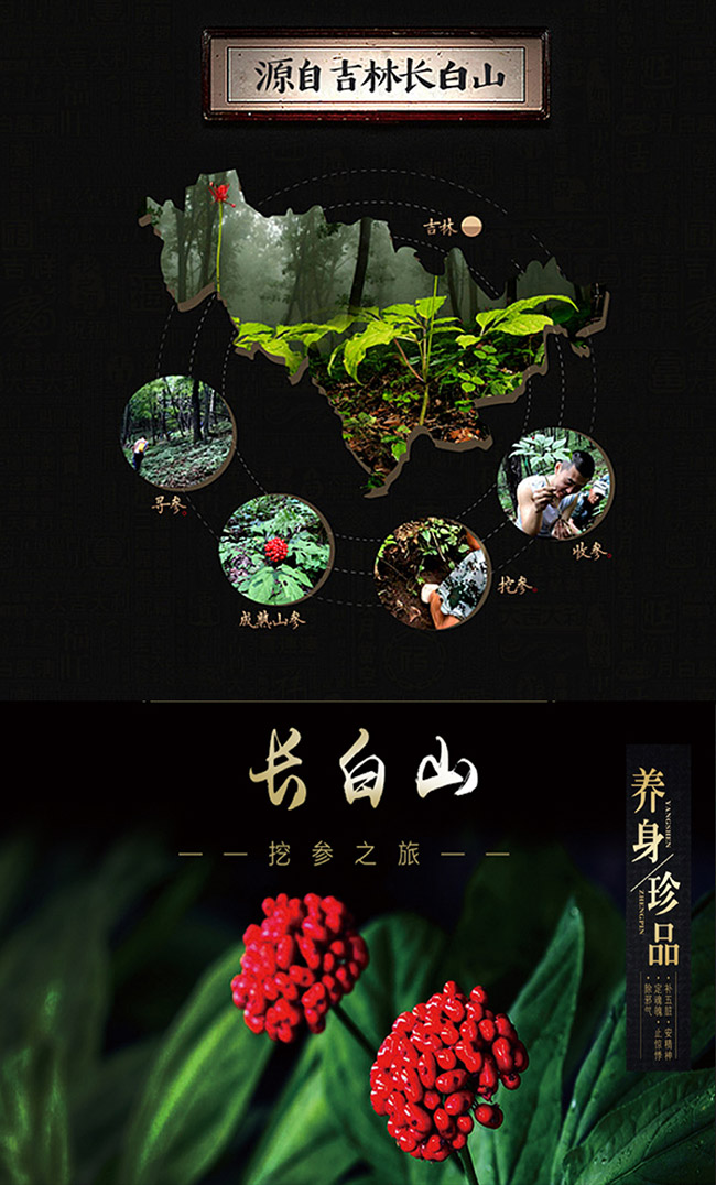 蘊(yùn)泉坊人參酒【52° 2L】