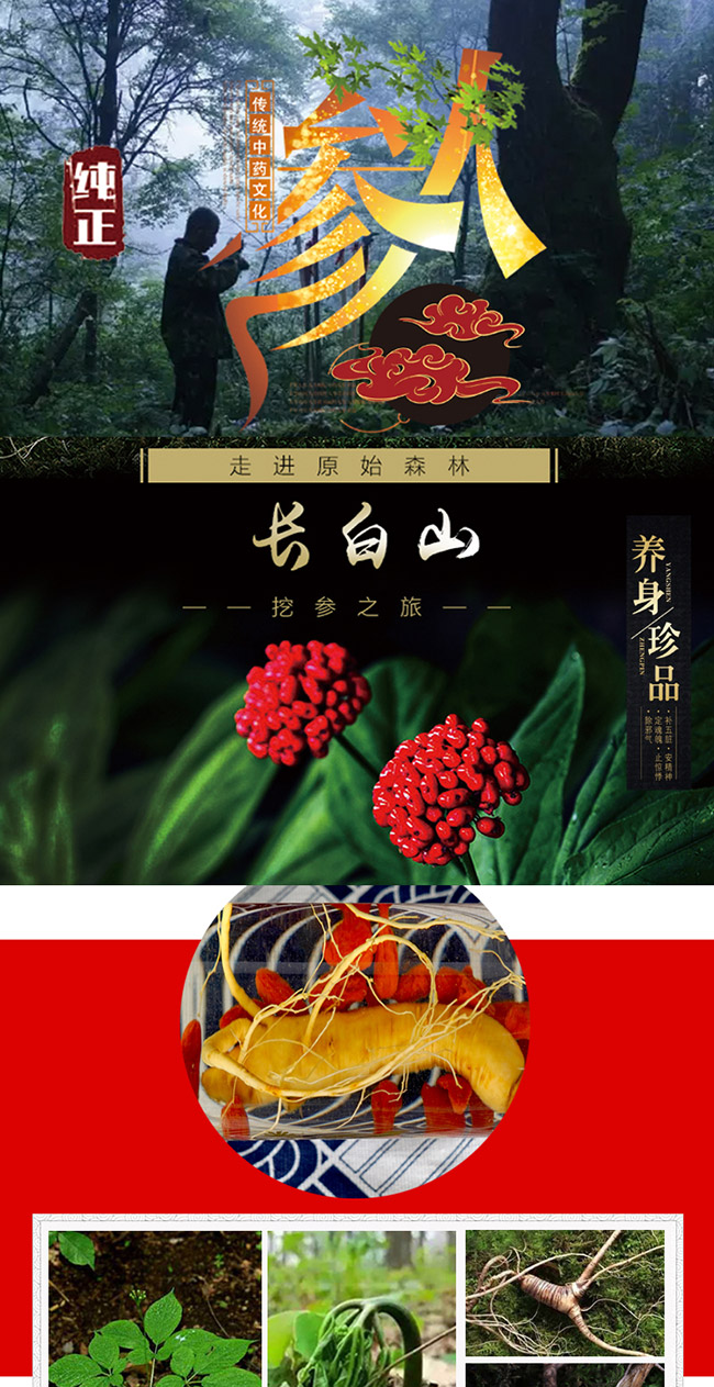 蘊(yùn)泉坊人參酒【52° 4L】