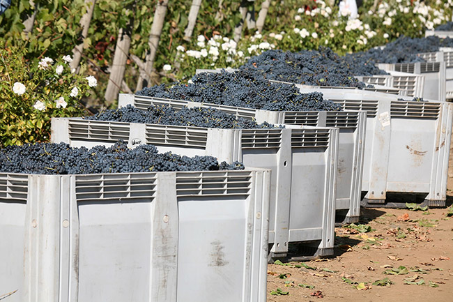 ·װϣ{(j)ľͰᄸɼtѾơ12 750ml