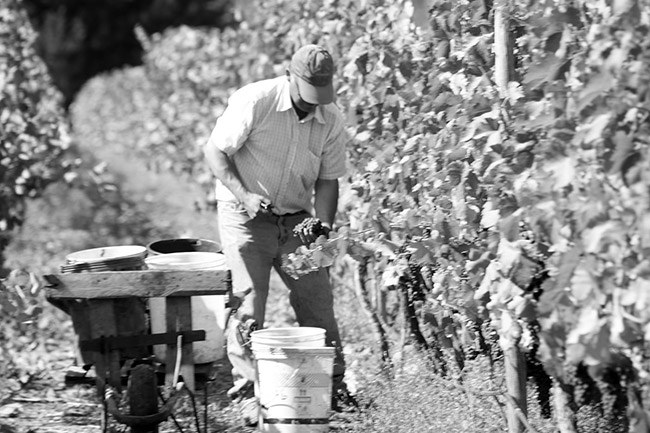 ·װϣ{(j)ľͰᄸɼtѾơ12 750ml