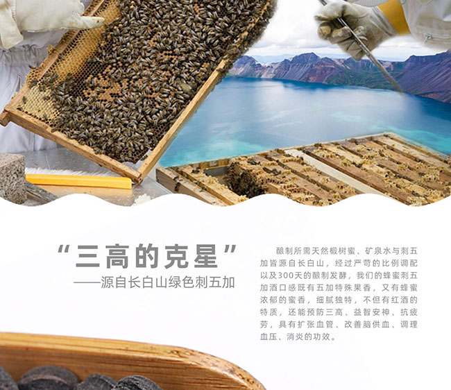 蜂收長白山蜂蜜短梗五加發(fā)酵酒【12° 200ml】