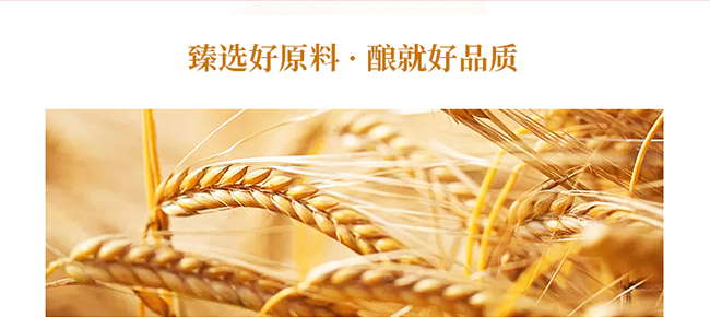 中 國(guó)龍精釀原漿禮盒裝1L×6桶