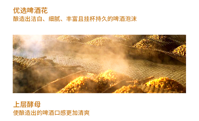 中 國(guó)龍精釀原漿禮盒裝1L×6桶