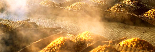 凱盾精釀金麥啤酒