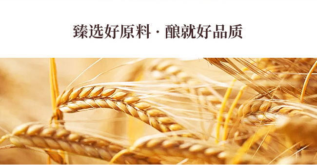 全麥芽精釀原漿