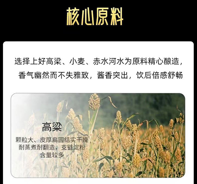 白水杜康醬酒道明 醬香型白酒【53° 500ml】